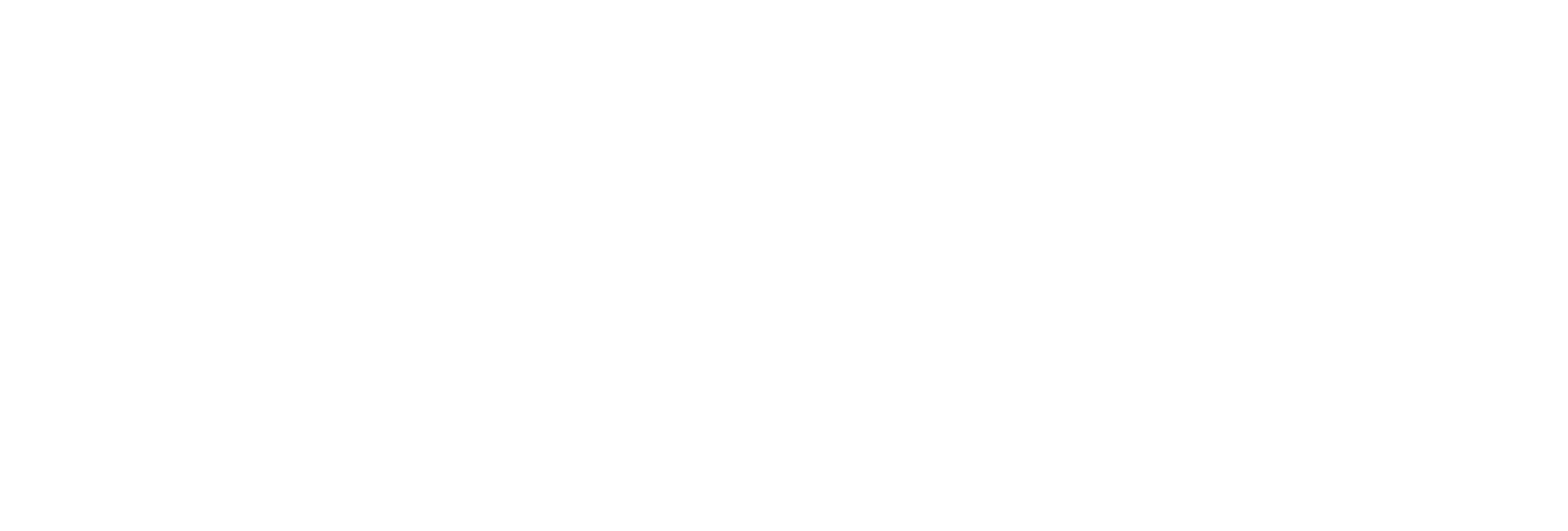 influencerhub.lk